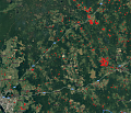 Видно из космоса: Ctrl2GO составила карту распространения борщевика для Костромской области